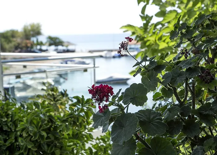 Hotel Porto Evia Boutique 4*